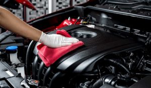 photo_5947308633332845323_y